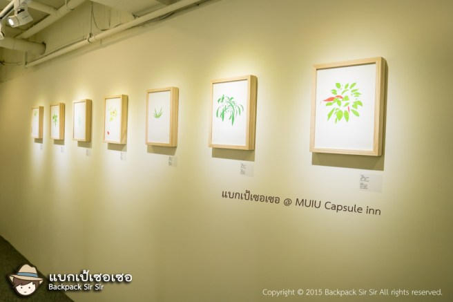 แบกเป้เซอเซอ ตอน เตียงสองชั้นกับจินตนาการ รีวิวโรงแรม MUIU Capsule inn