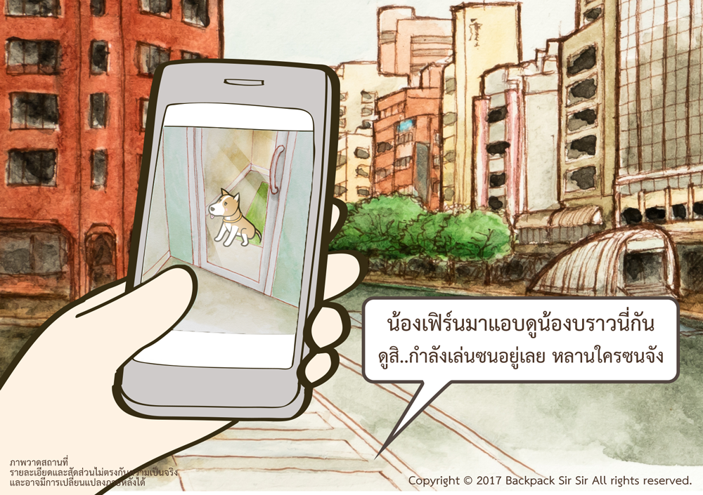 แบกเป้เซอเซอ ตอน แอบดูน้องบราวนี่ รีวิวโรงแรมสัตว์เลี้ยง Home Hug Pet care Hotel