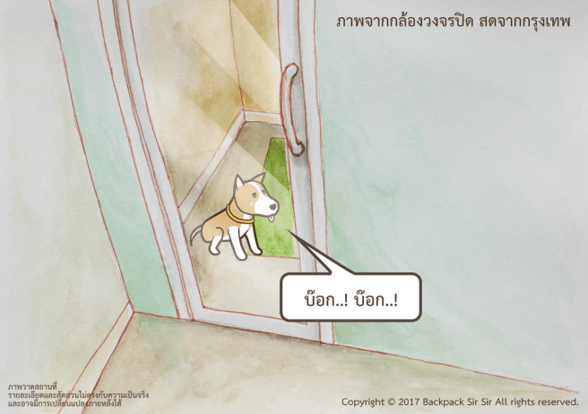 แบกเป้เซอเซอ ตอน แอบดูน้องบราวนี่ รีวิวโรงแรมสัตว์เลี้ยง Home Hug Pet care Hotel