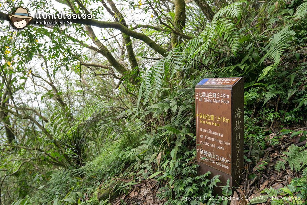 PhotoYangmingshan17