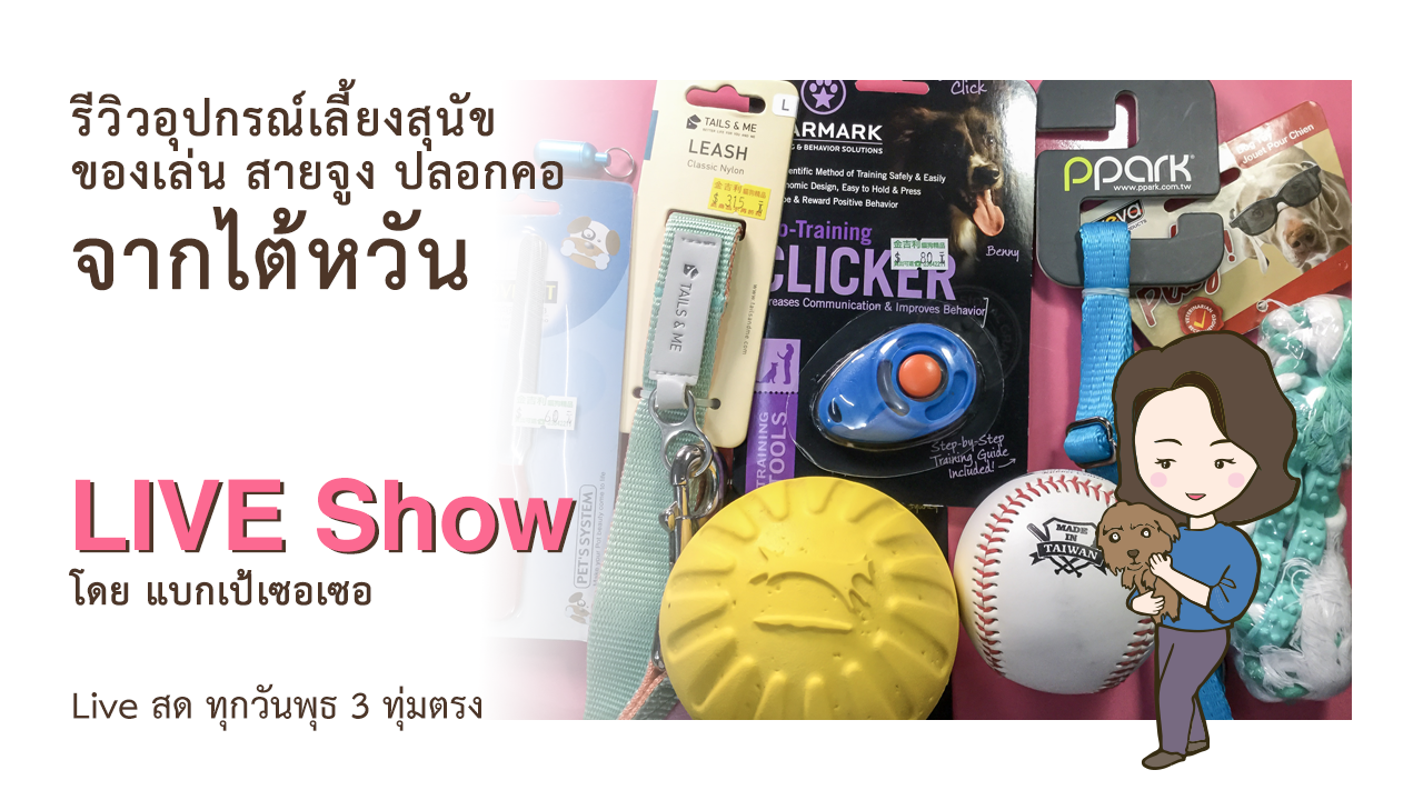 รีวิวอุปกรณ์เลี้ยงสุนัข ของเล่นสัตว์เลี้ยง สายจูง ปลอกคอน้องหมา จากไต้หวัน ร้าน 金吉利-汀州店 Pet shop ในกงก่วน ไทเป ไต้หวัน
